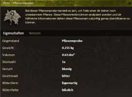 Pflanzenprobe Hyssopus identifiziert